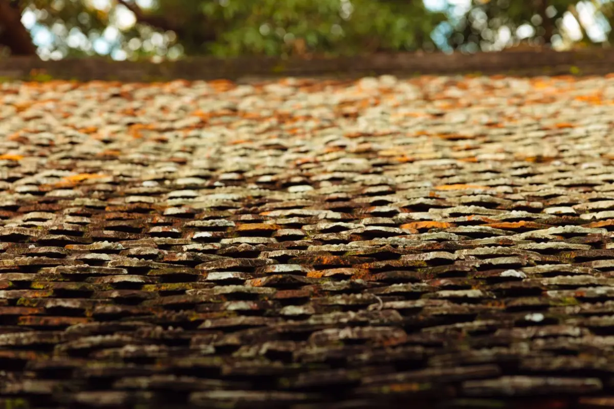 Roof Leak Repair in Costa Mesa, CA